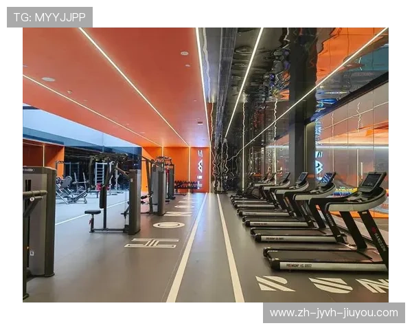 顶级健身器材品牌：高端产品分析与推荐