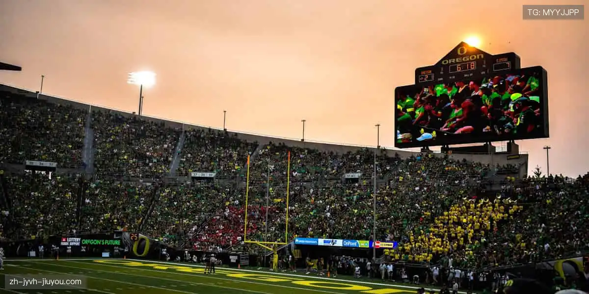 🏋️‍♂️专业品质，耐用舒适！从健身器材到运动服饰，你的健康首选！🎽